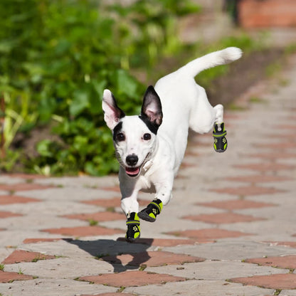 Terrain Shield Dog Boots