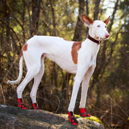 Terrain Shield Dog Boots