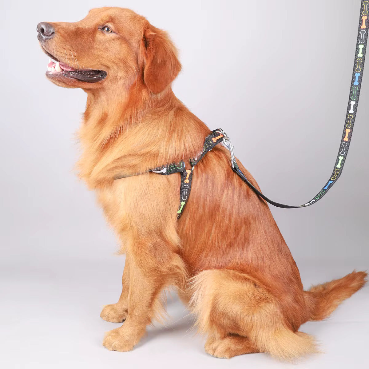 Victory Bone Dog Harness