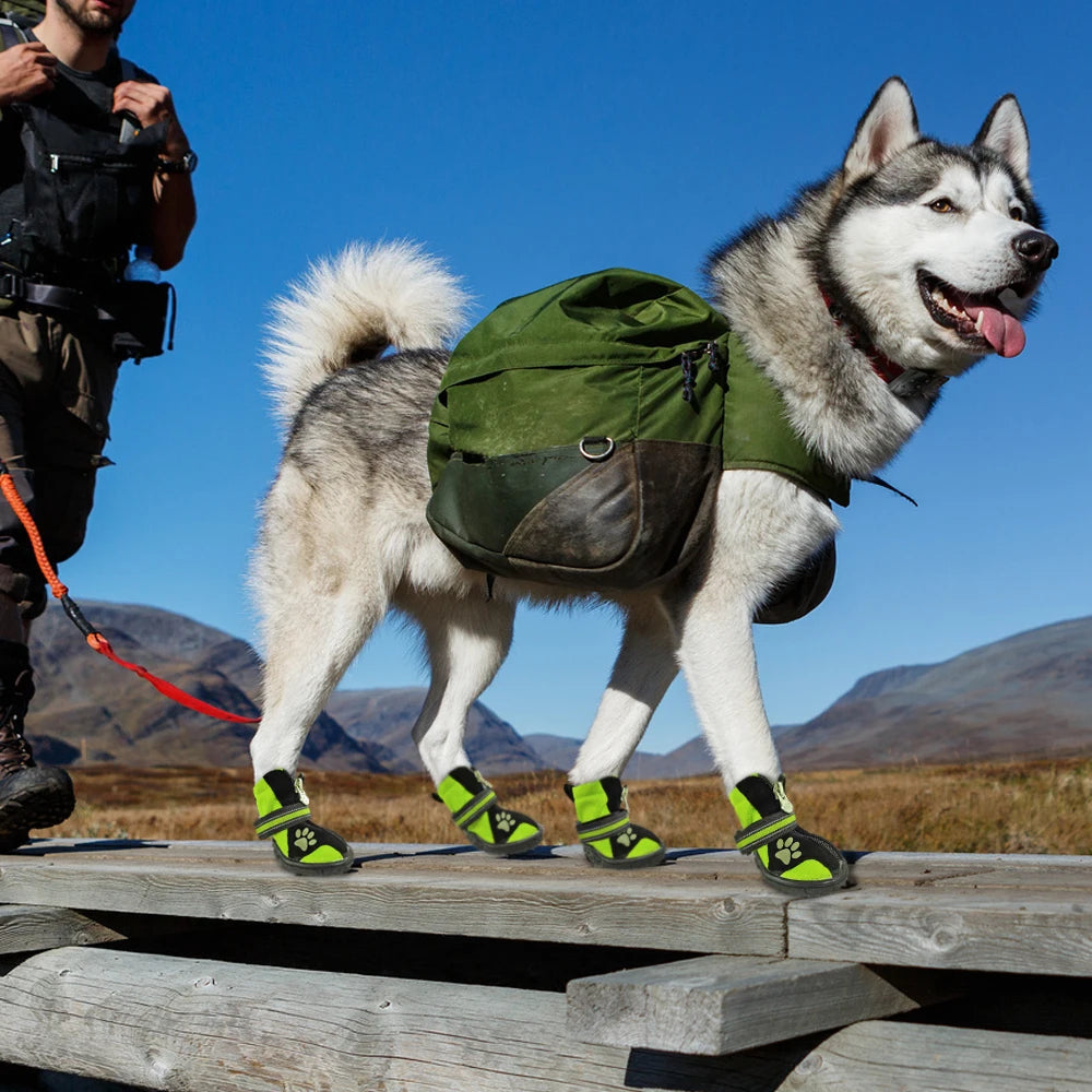 Terrain Shield Dog Boots