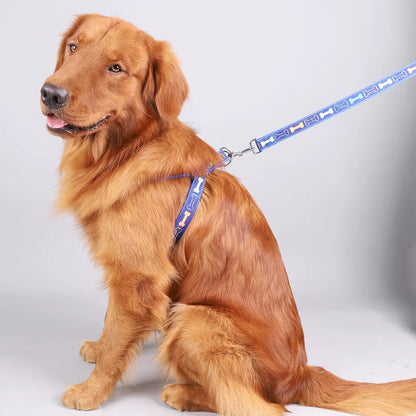 Victory Bone Dog Harness